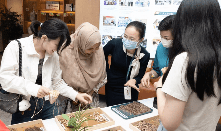 Regular Festival Care 4